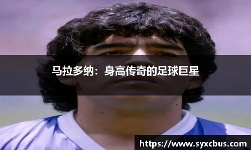 3377体育首页