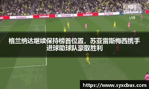 3377体育