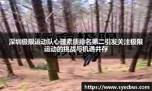3377体育官网