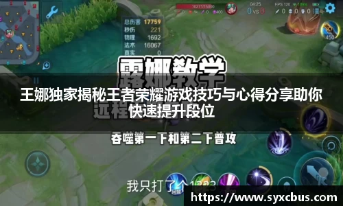 3377体育