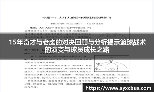 3377体育官网