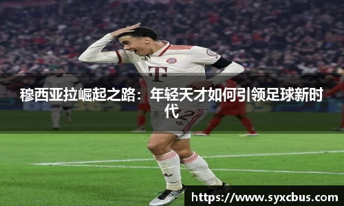 3377体育官网